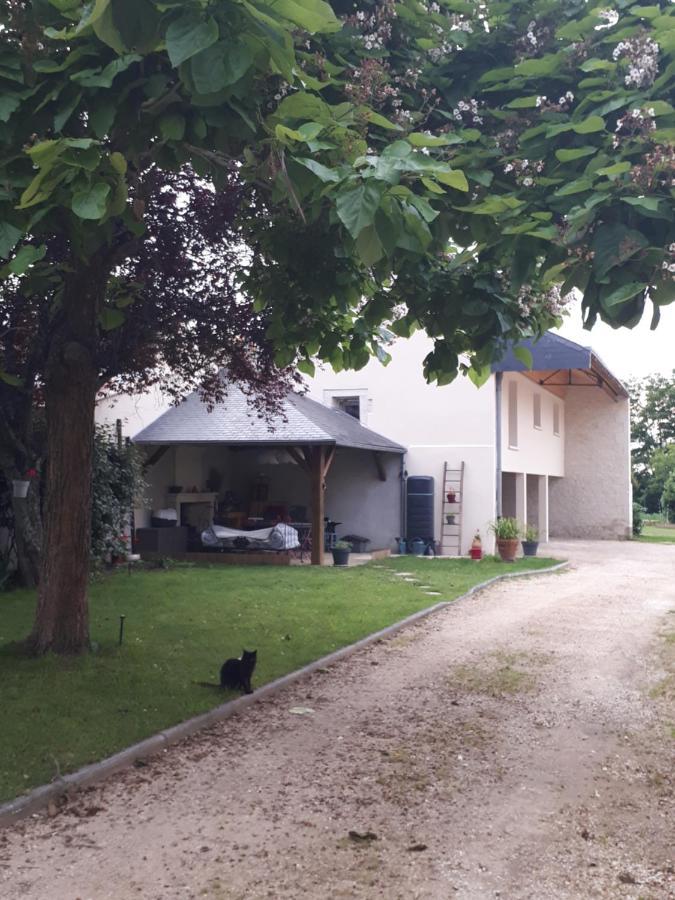 Gite Amanala Poitou Saint-Genest-d'Ambiere Esterno foto