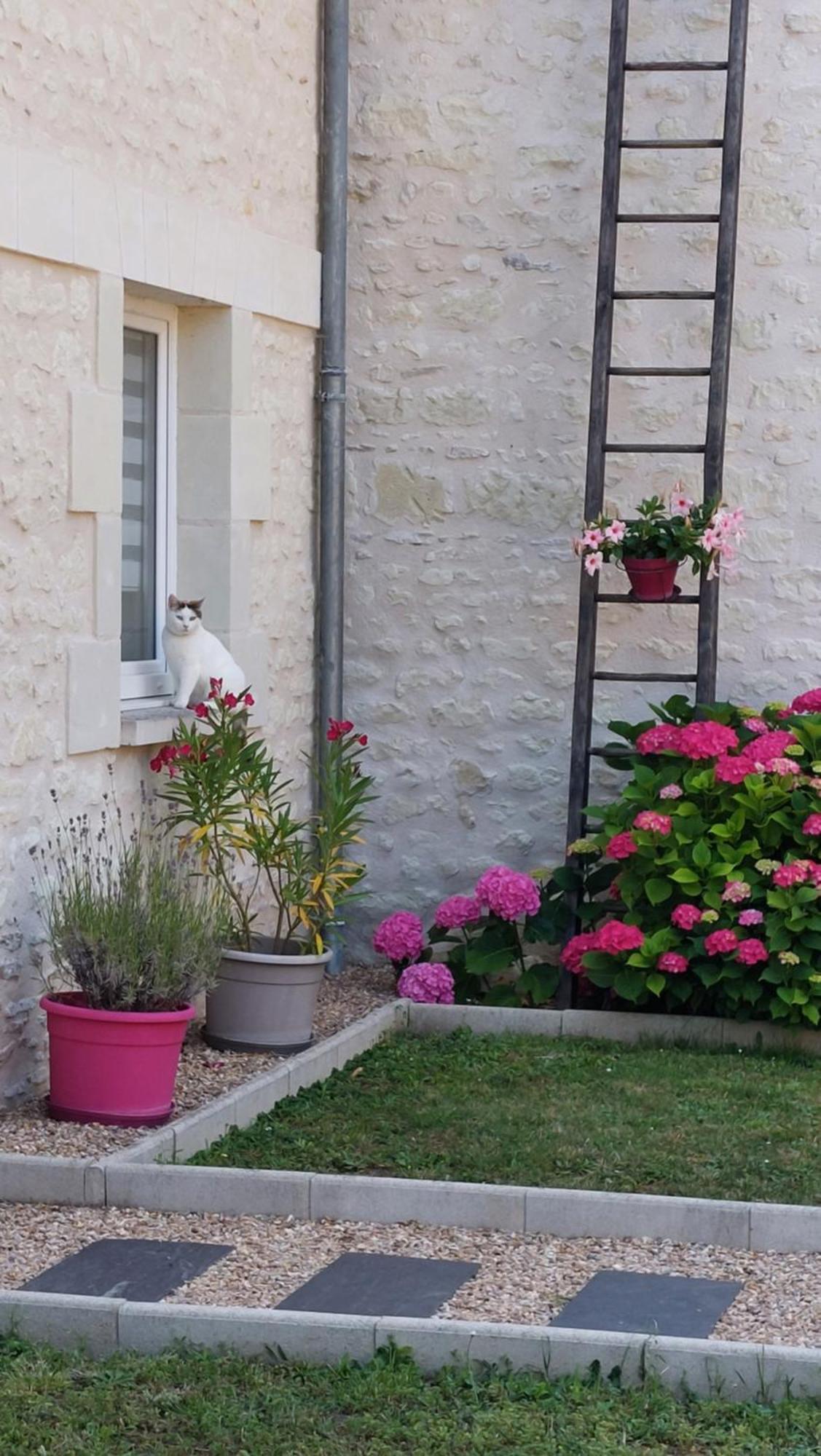 Gite Amanala Poitou Saint-Genest-d'Ambiere Esterno foto